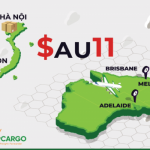 Avg cargo van chuyen hang tuyen uc viet 7 ngay dong gia uu dai 02