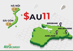 Avg cargo van chuyen hang tuyen uc viet 7 ngay dong gia uu dai 02